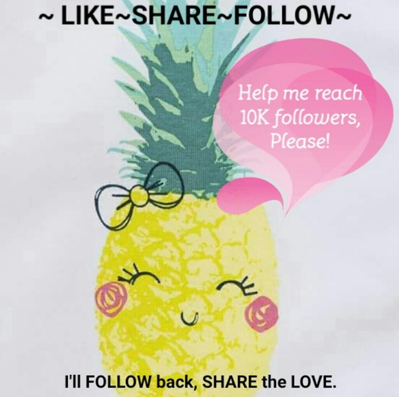 Other - Pink Pineapple Closet